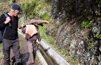 Madeira_Canical_Marocos_levadavandring
