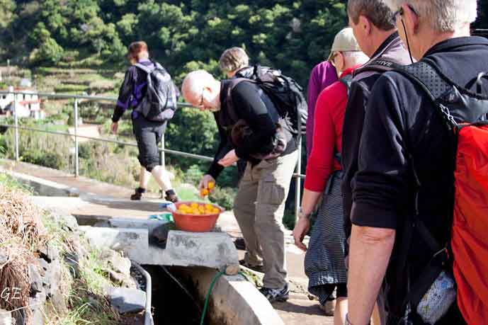 Madeira_Canical_Marocos_levadavandring