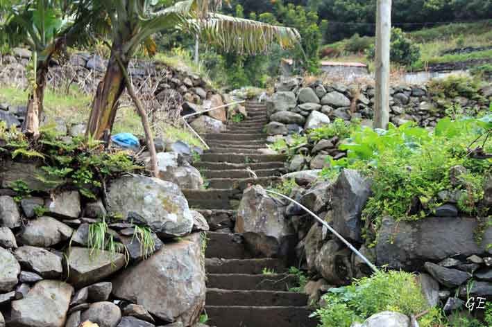 Madeira_Canical_Marocos_levadavandring