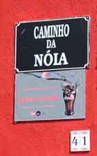 Madeira_Canical_Marocos_levadavandring