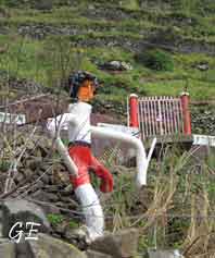 Madeira_Canical_Marocos_levadavandring