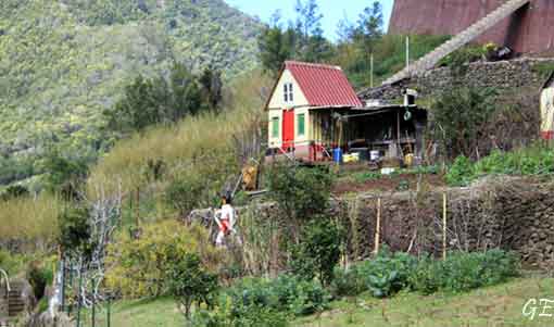 Madeira_Canical_Marocos_levadavandring