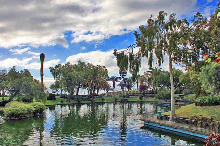 Madeira_Funchal_Santa_Catarinaparken