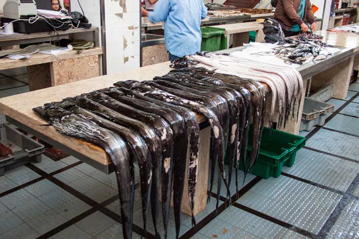 Madeira_Funchal_fiskemarked