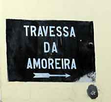 Madeira_Funchal_Amoreiro