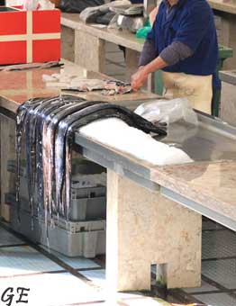 Madeira_Funchal_fiskemarkedet_gege