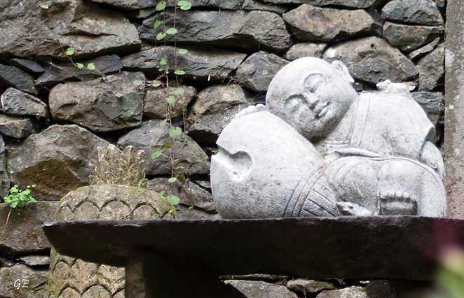 Madeira_Monte_kineser