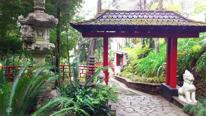 Madeira_Monte_parken