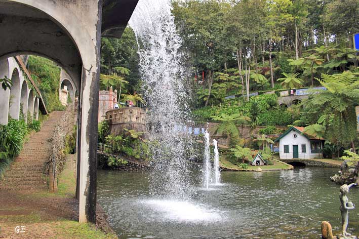 Madeira_Monte_parken
