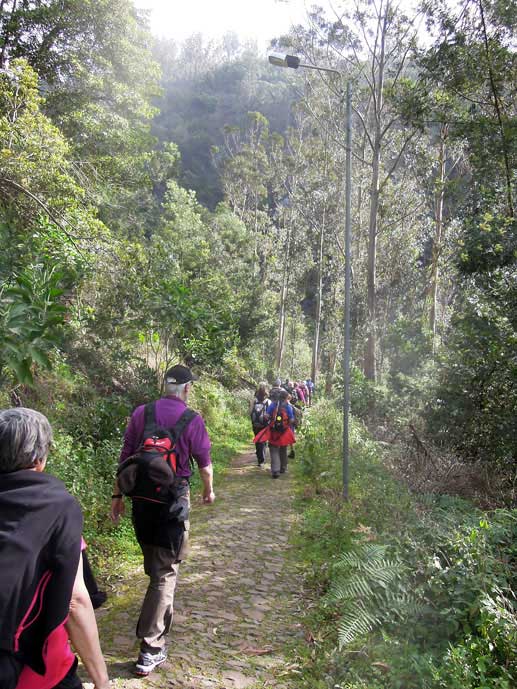 Madeira_Monte_Camacha_levadavandring_