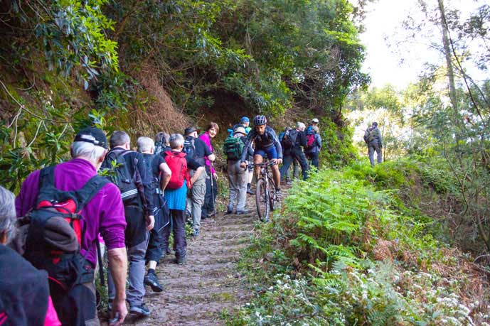 Madeira_Monte_Camacha_levadavandring_syklist