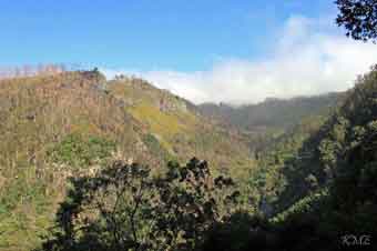 Madeira_Monte_Camacha_levadavandring