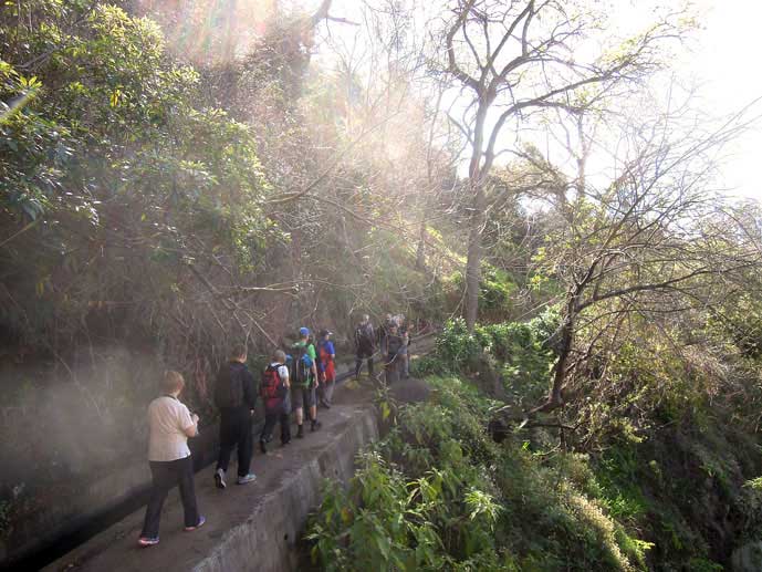 Madeira_Monte_Camacha_levadavandring