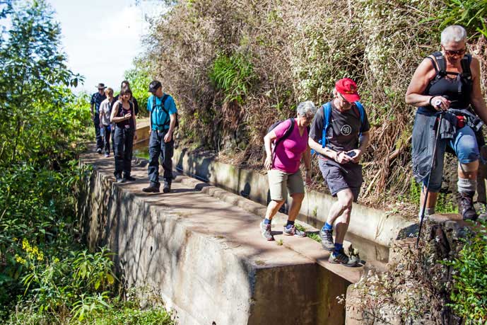 Madeira_Monte_Camacha_levadavandring