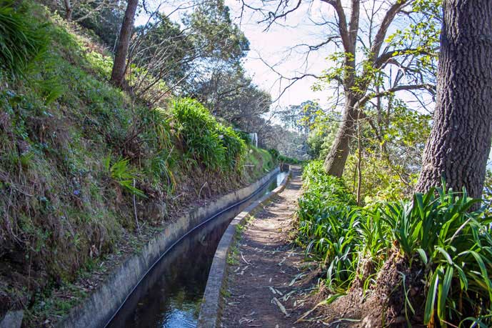 Madeira_Monte_Camacha_levadavandring