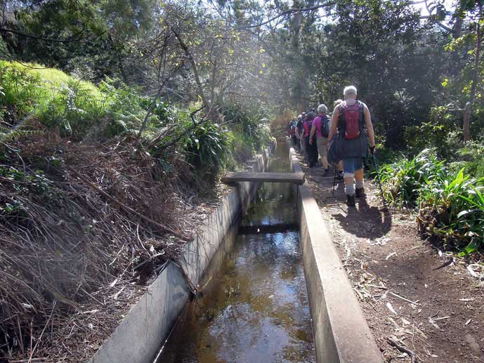 Madeira_Monte_Camacha_levadavandring