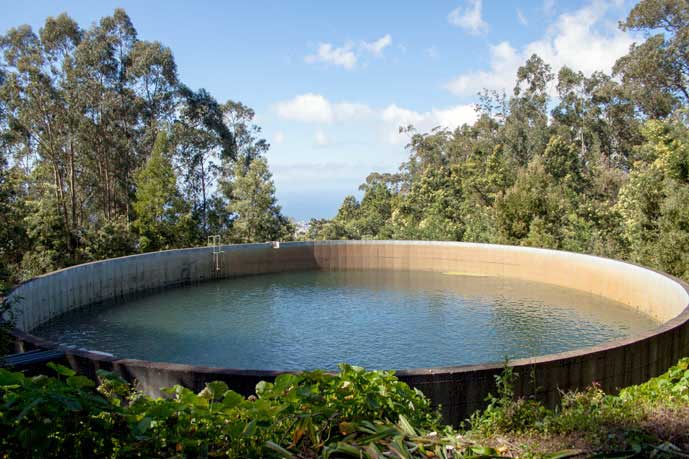 Madeira_Monte_Camacha_levadavandring