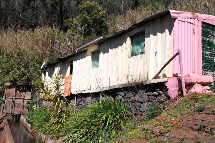 Madeira_Monte_Camacha_levadavandring