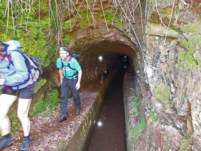 Madeira_Monte_Camacha_levadavandring_tunnel