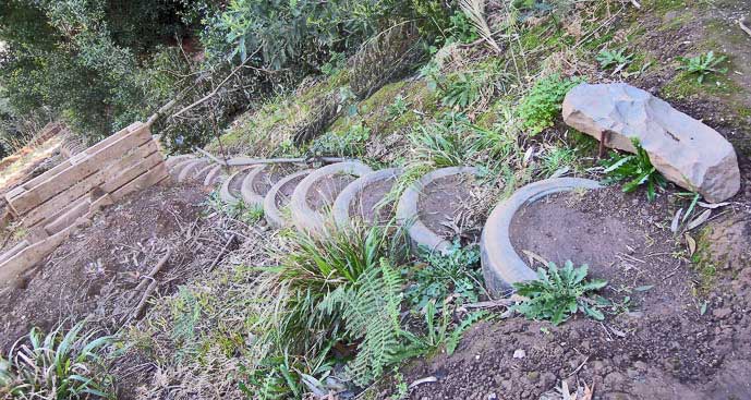Madeira_Monte_Camacha_levadavandring_dekktrapp