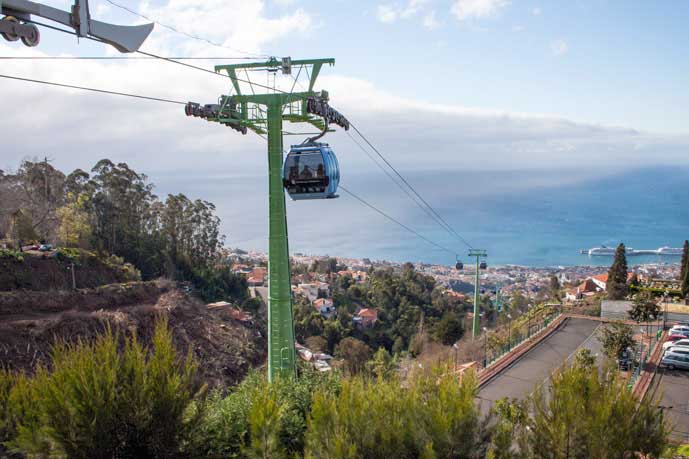 Madeira_Monte_Camacha_taubanen