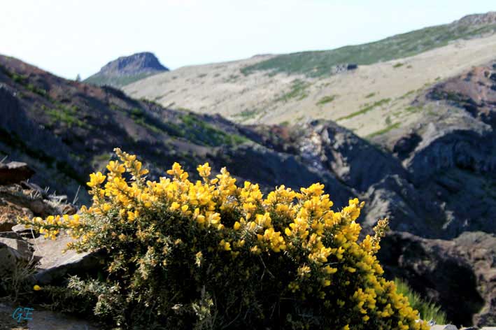 Madeira_Pico_do_Arieiro
