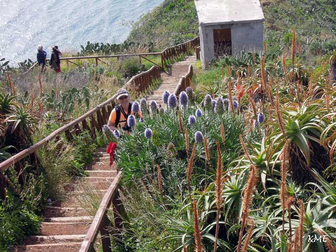 Madeira_Ponta_do_Garajau