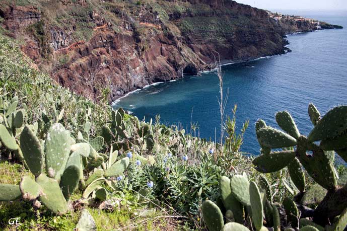 Madeira_Ponta_do_Garajau