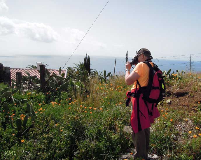 Madeira_Ponta_do_Garajau