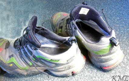 Madeira_Prazeres_Calheta