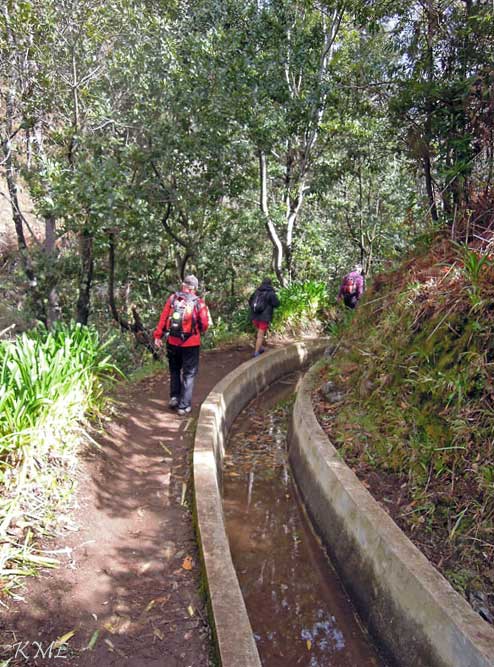 Madeira_Prazeres_Calheta_levadavandring