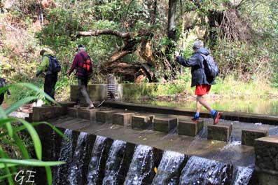 Madeira_Prazeres_Calheta_levadavandring