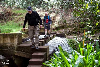 Madeira_Prazeres_Calheta_levadavandring