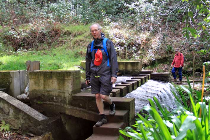 Madeira_Prazeres_Calheta_levadavandring