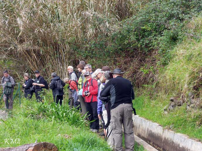 Madeira_Prazeres_Calheta_levadavandring