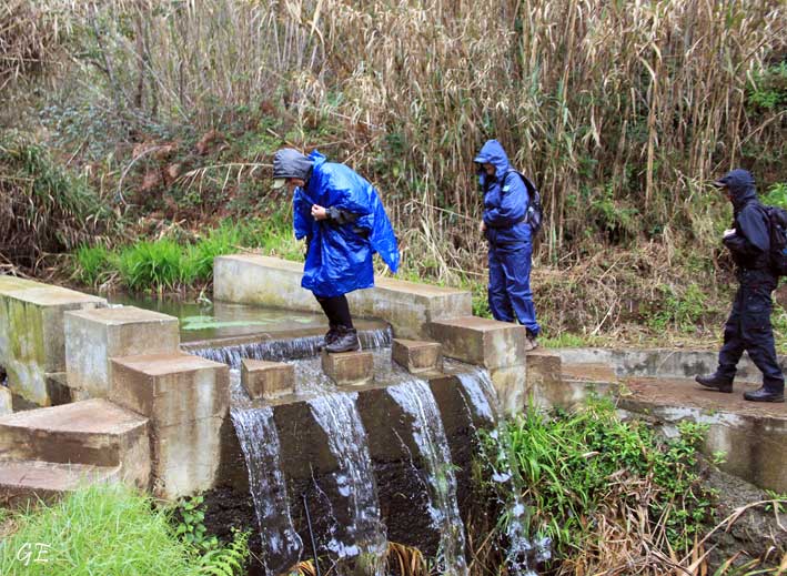 Madeira_Prazeres_Calheta_levadavandring