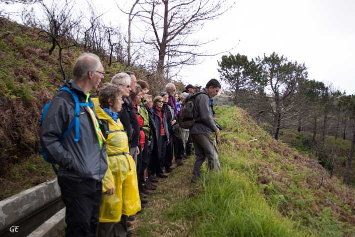 Madeira_Prazeres_Calheta_levadavandring