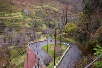 Madeira_Prazeres_Calheta_sving