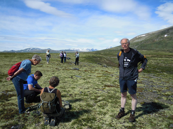 Mosestudie p� Dovre