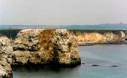 England_kysten_klipper