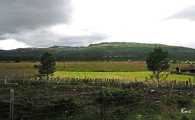 Peer_Gyntveien_ved_Lomsetrene