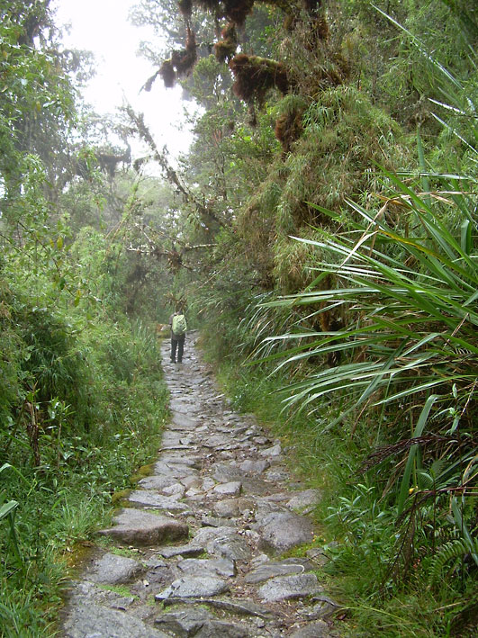Peru_Inkatrail_3_dag_Grete.