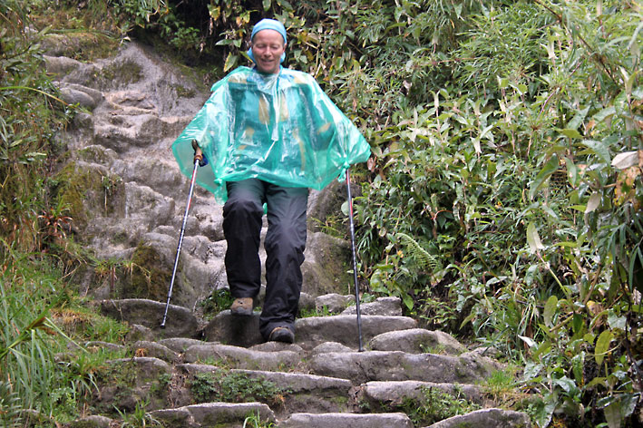 Peru_Inkatrail_Kari_ned_trapp.