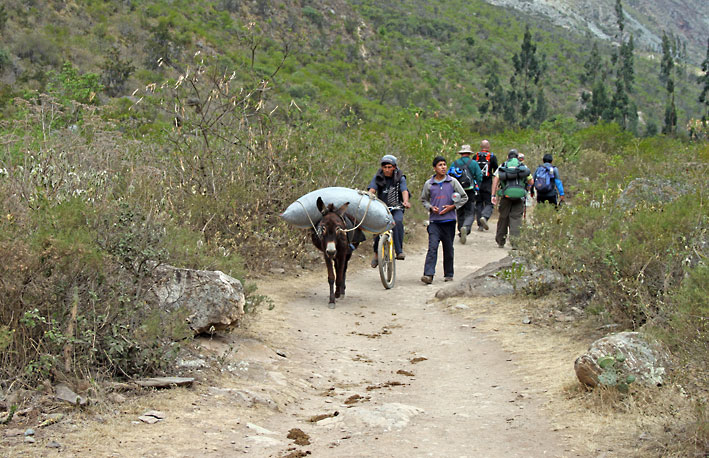 Peru_Inkatrail_esel_og_sykkel