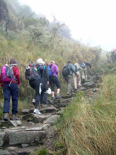 Peru_Inkatrail_trapper