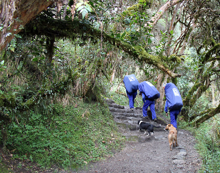 Peru_Inkatrail_three_porters