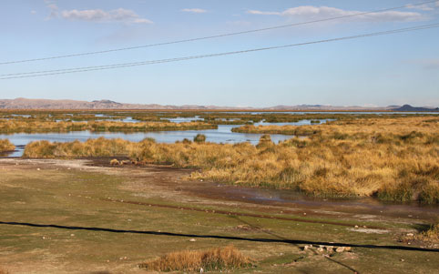 Peru_Puno_Titicaca