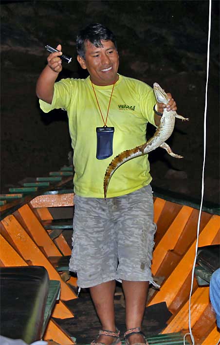 Peru_Tambopata_Jorge_med_liten_cayman