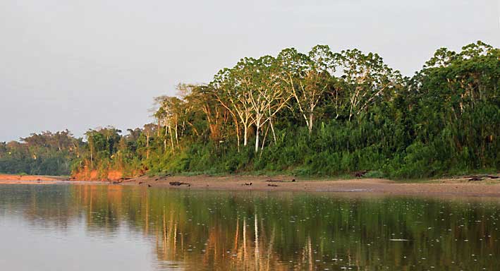 Morgenstemning_paa_Tambopata_Peru