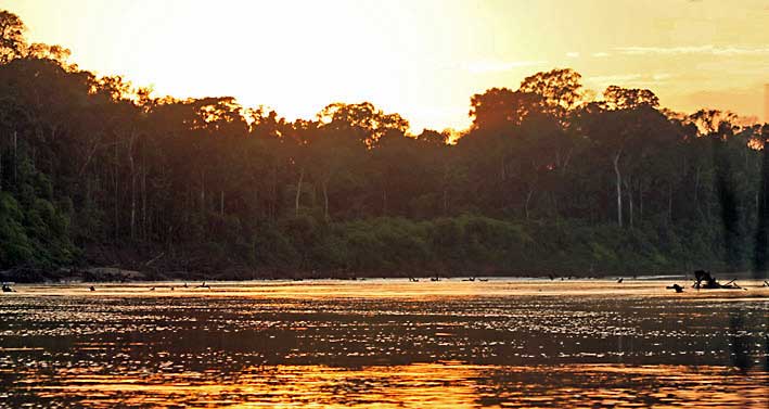 Peru_Tambopata_soloppgang